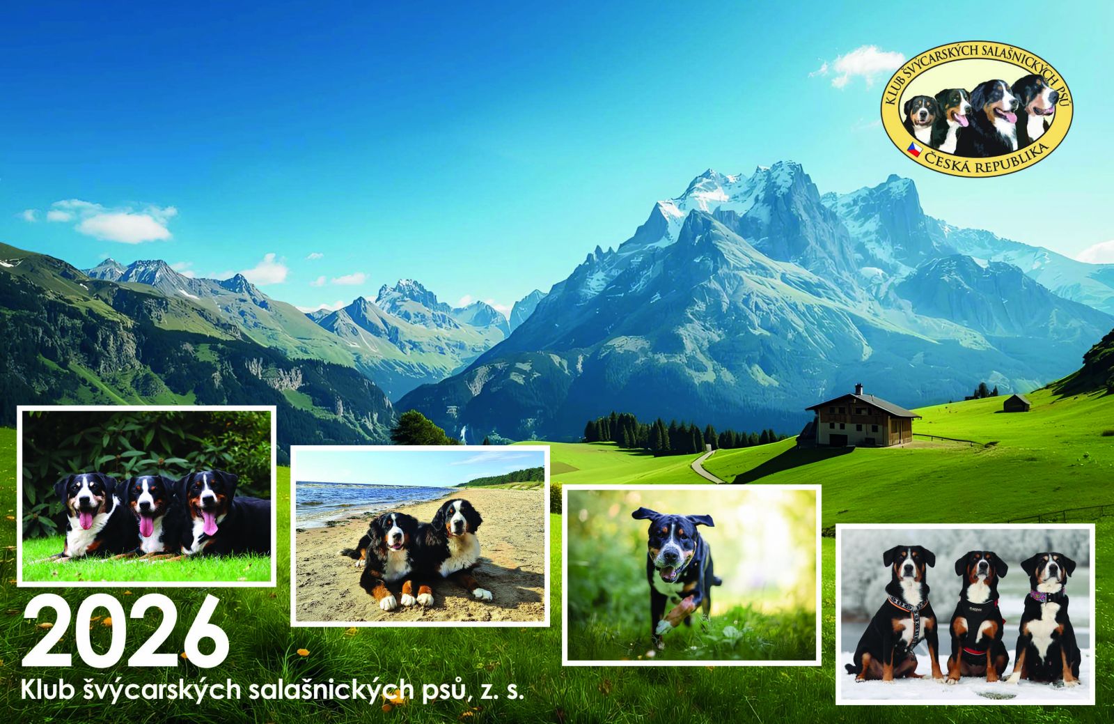 Stolní kalendář Klubu švýcarských salašnických psů z.s. na rok 2026